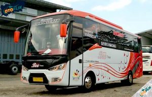 12 Jenis Bus Berdasarkan Model, Ukuran, Kapasitas, Kelas & Trayek ...